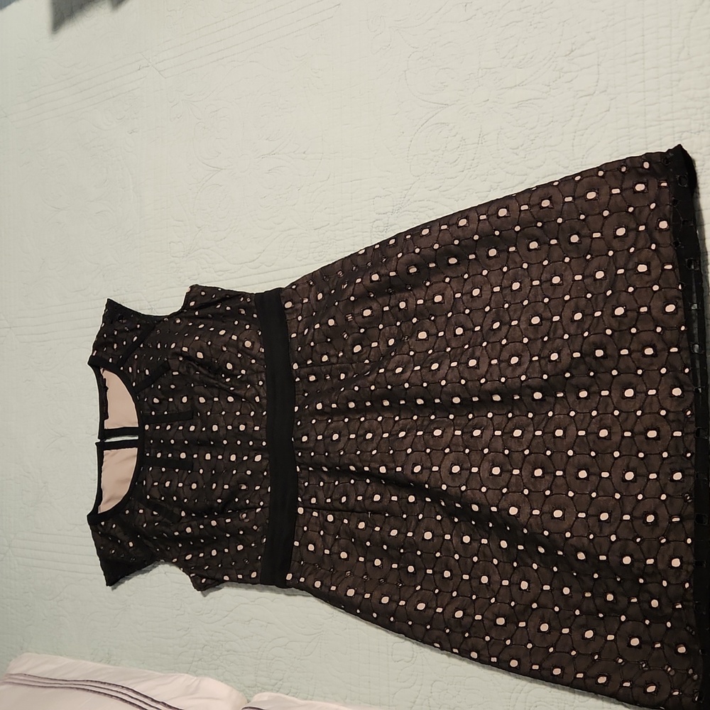 The Limited lacey dress with lining